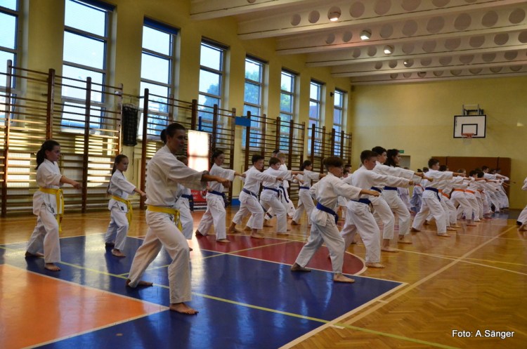 Egzamin na stopnie szkoleniowe kyu –  wiosna 2018