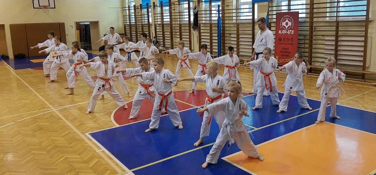 Egzamin na stopnie kyu