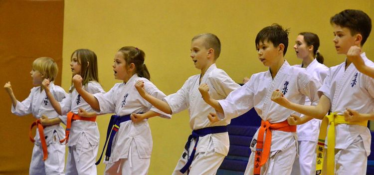 Egzaminy na stopnie kyu