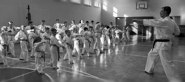 Egzamin na stopnie szkoleniowe kyu w klubie